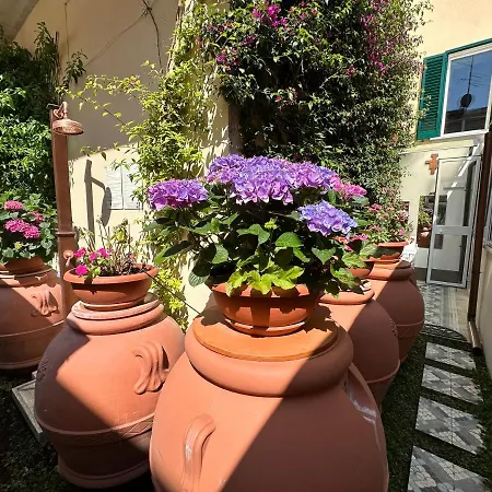 Domus Socolatae Residenza D'epoca 3* Follonica
