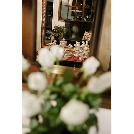 Domus Socolatae Residenza D'epoca Charming - Adults Only فندق مبيت وإفطار فولّونيكا