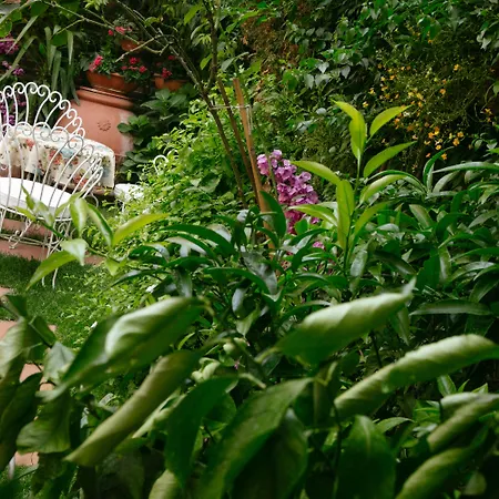 Domus Socolatae Residenza D'epoca Charming - Adults Only Oda ve Kahvaltı