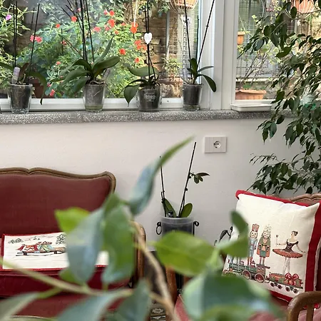 Domus Socolatae Residenza D'epoca Charming - Adults Only Bed & Breakfast Follonica